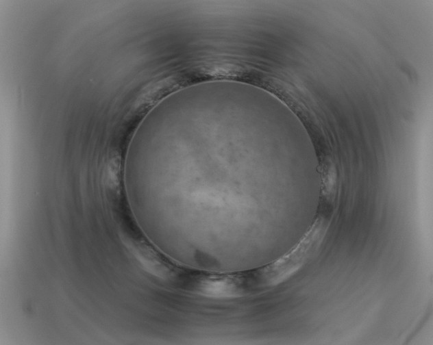 X0000113590175200909181339