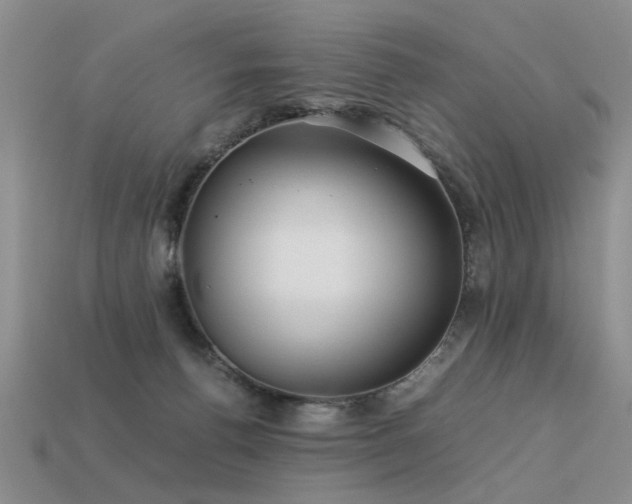 X0000113590176200909181339