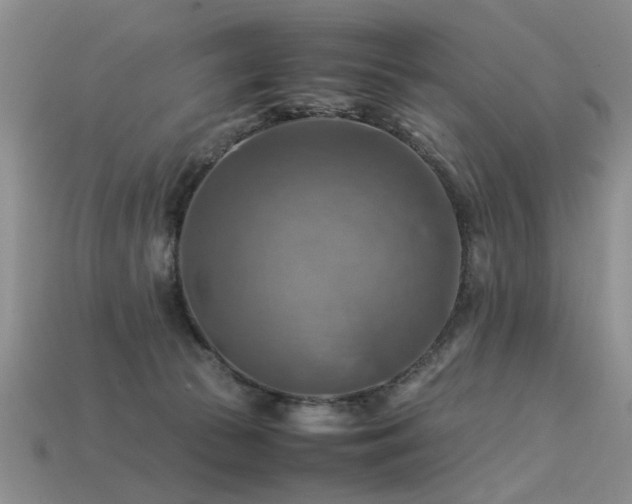 X0000113590177200909181339