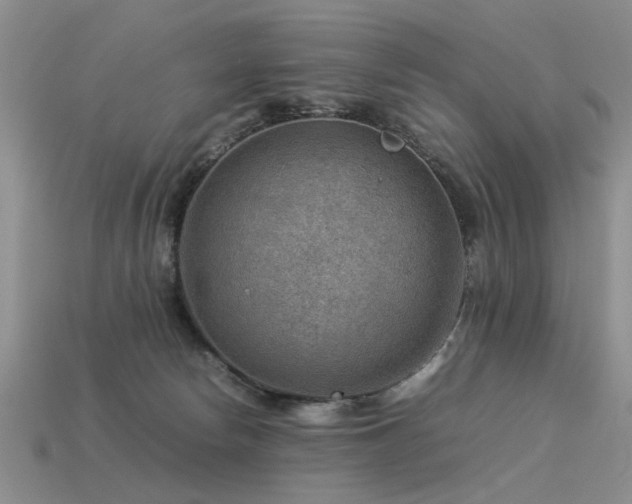 X0000113590178200909181339