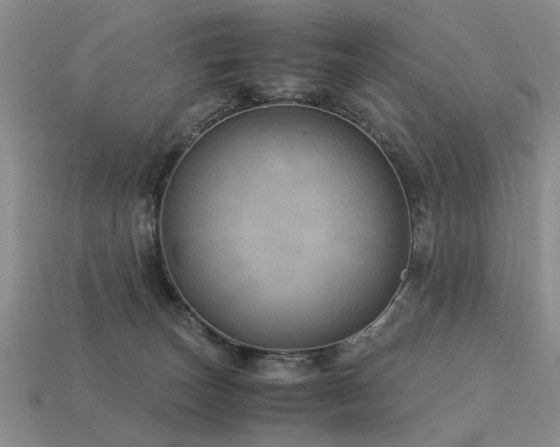 X0000113590179200909181339