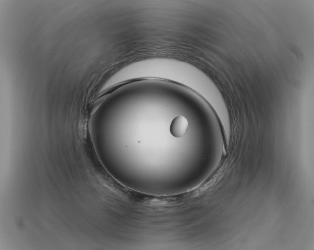 X0000113590180200909181339