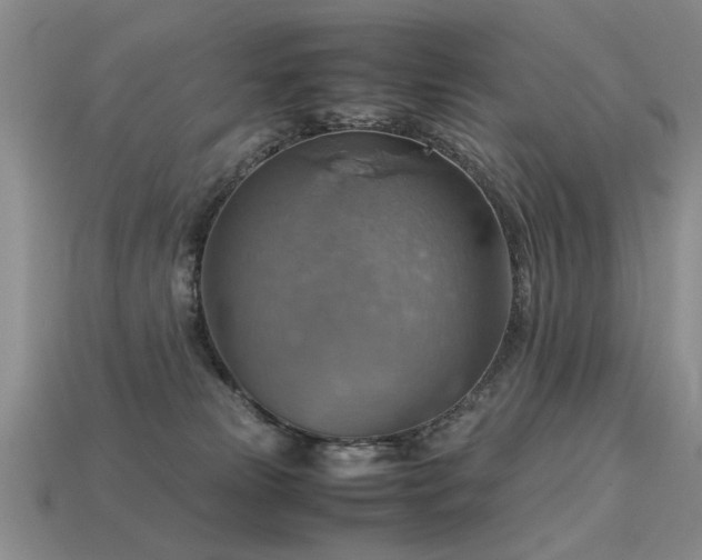 X0000113590181200909181339