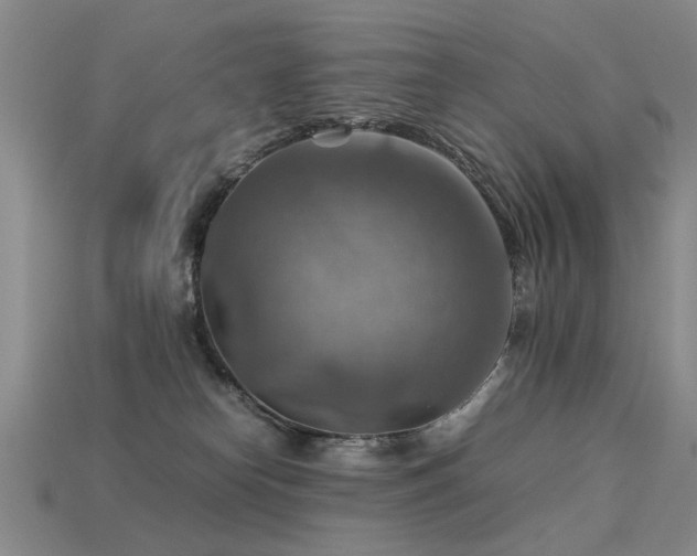 X0000113590182200909181339