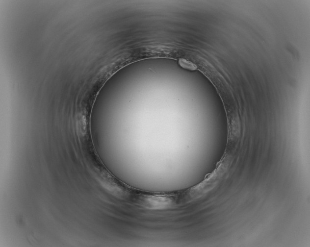 X0000113590183200909181339