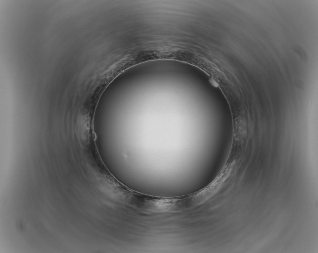 X0000113590184200909181339