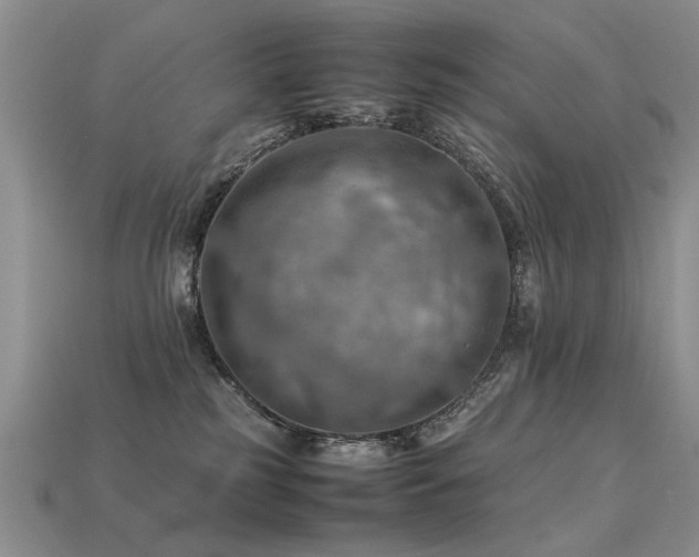 X0000113590185200909181339