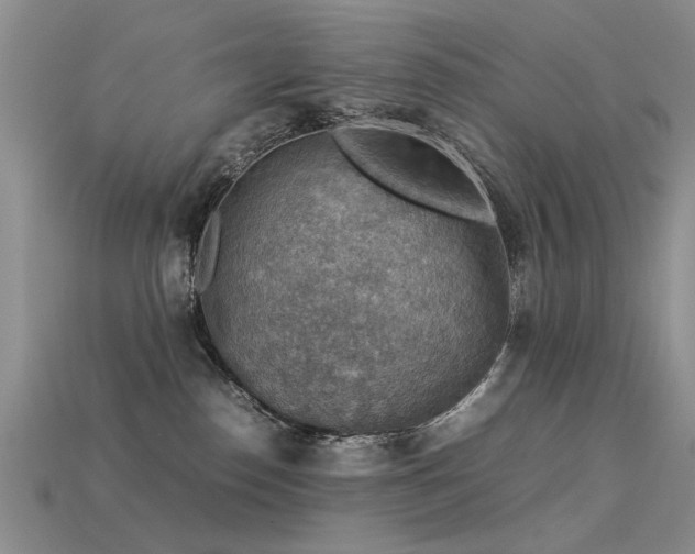 X0000113590186200909181339