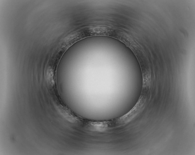 X0000113590187200909181339