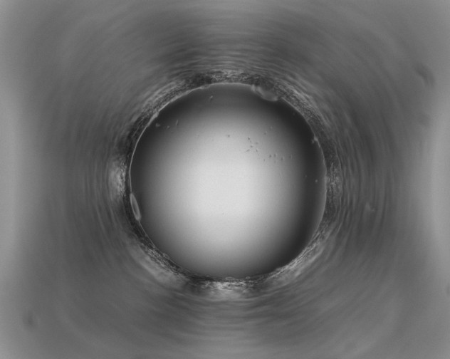 X0000113590188200909181339