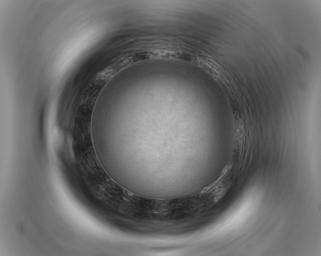 X0000113590191200909181339