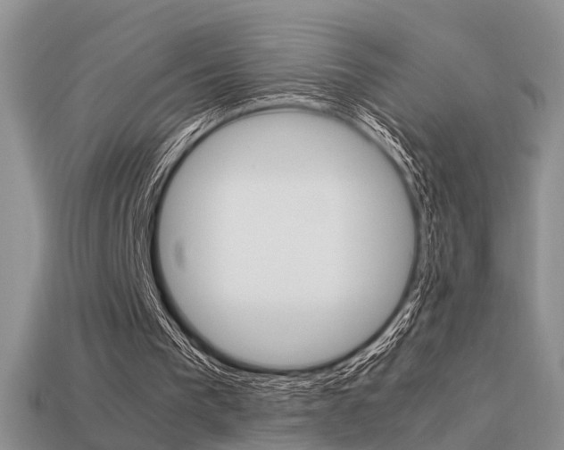 X0000113590193200909181338