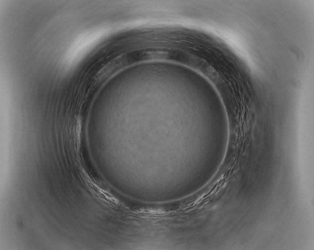 X0000113590194200909181338