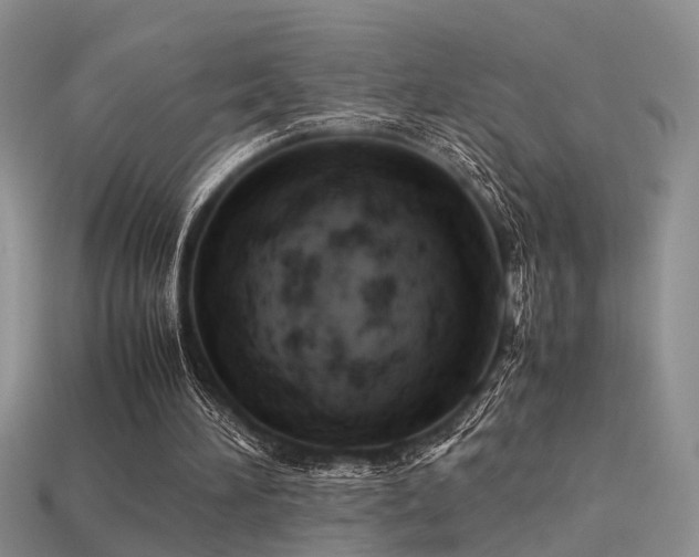 X0000113590196200909181338