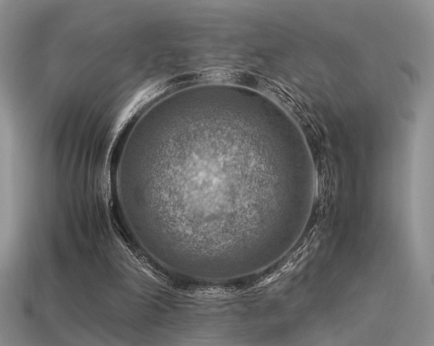 X0000113590198200909181338