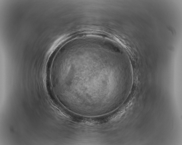 X0000113590199200909181338