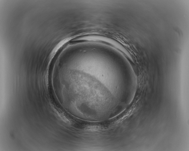 X0000113590200200909181338