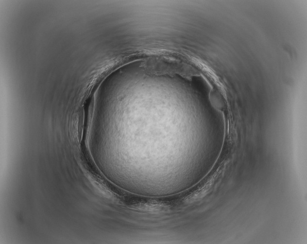 X0000113590201200909181338