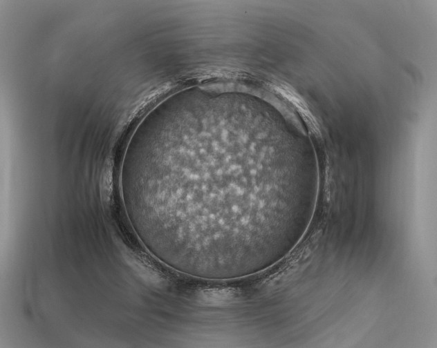 X0000113590202200909181338