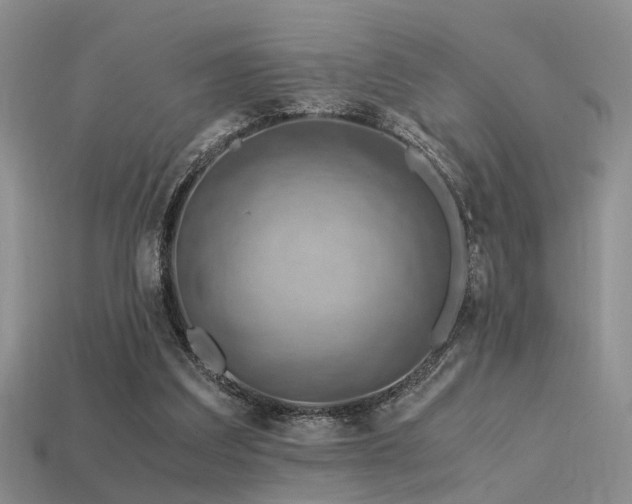 X0000113590203200909181338