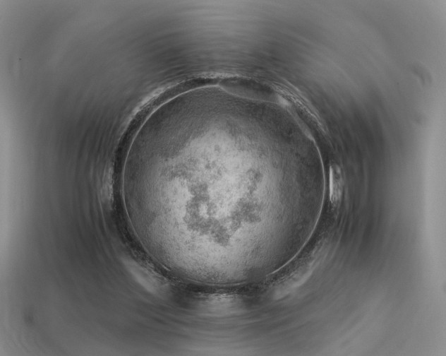 X0000113590204200909181338