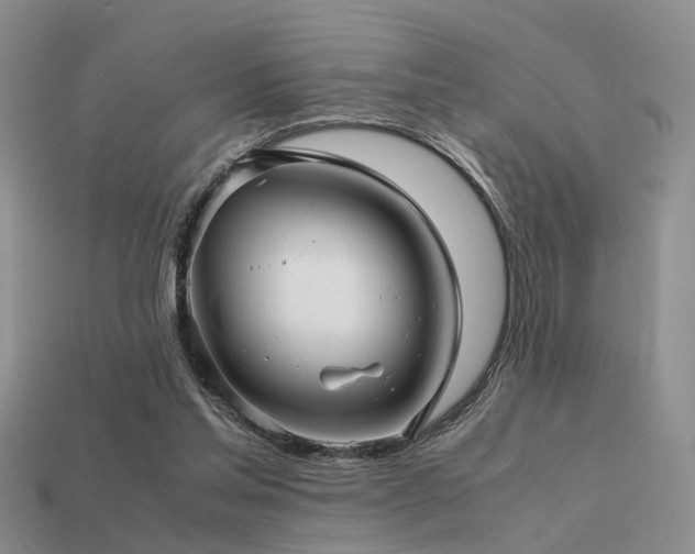 X0000113590205200909181338