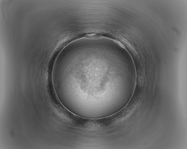 X0000113590207200909181338