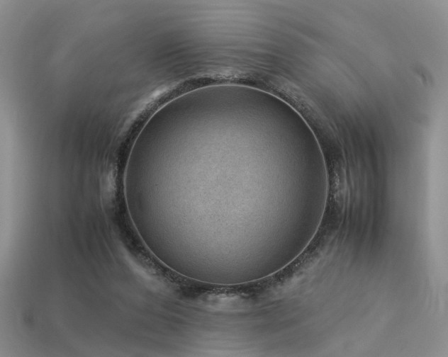 X0000113590208200909181338