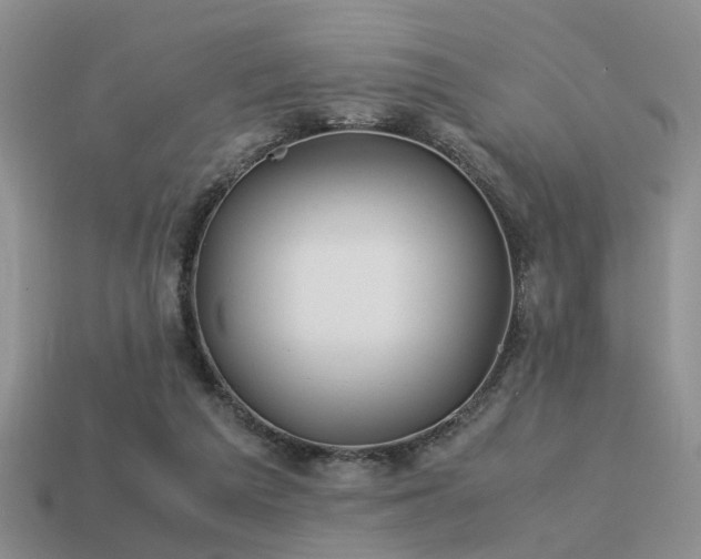 X0000113590209200909181338