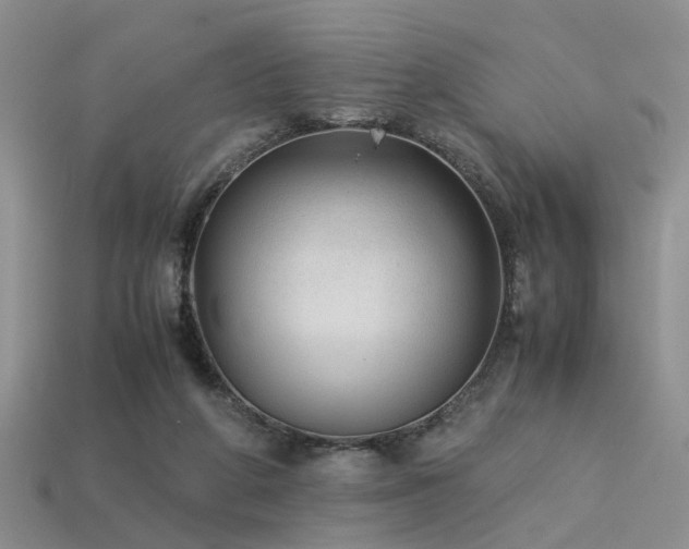 X0000113590210200909181338