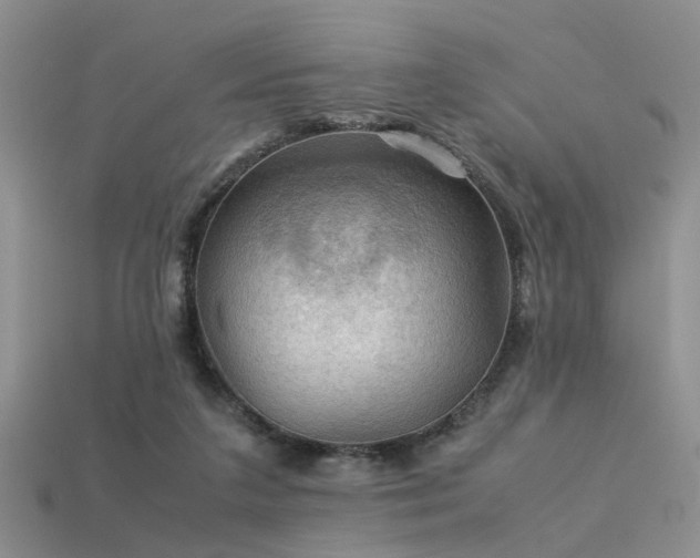 X0000113590211200909181338