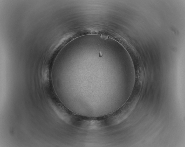 X0000113590212200909181338