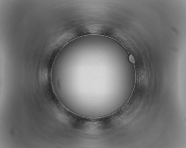 X0000113590213200909181338