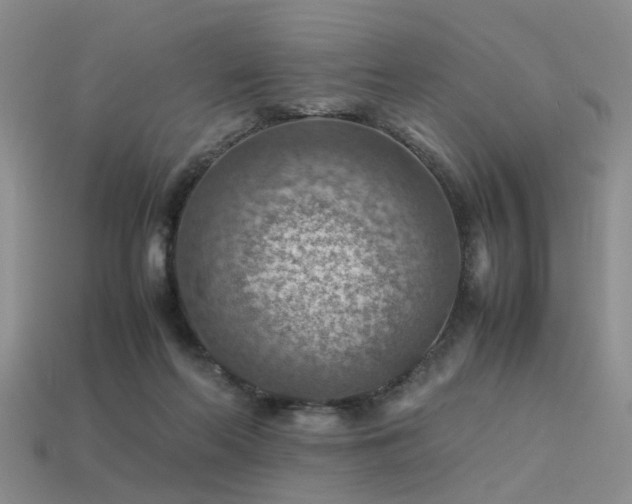 X0000113590214200909181338