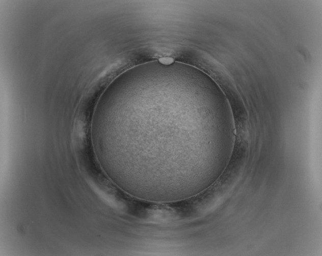 X0000113590215200909181338