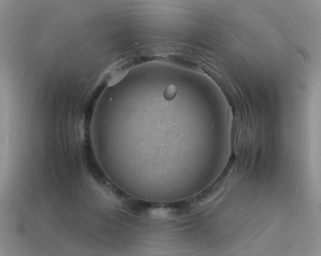 X0000113590216200909181338