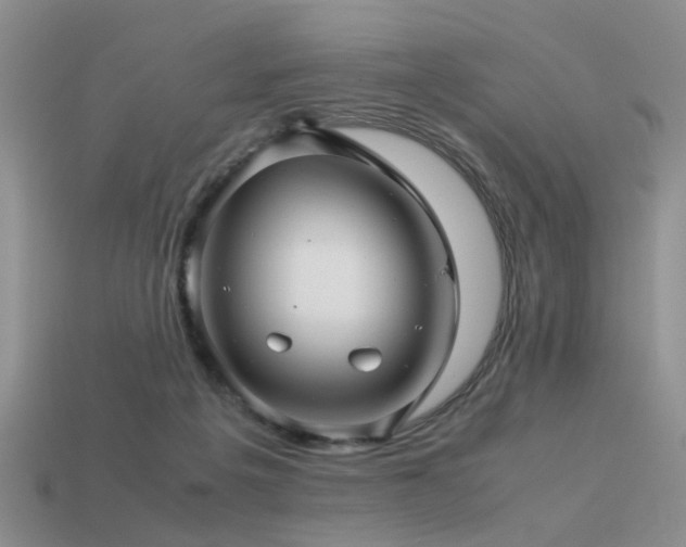 X0000113590217200909181338