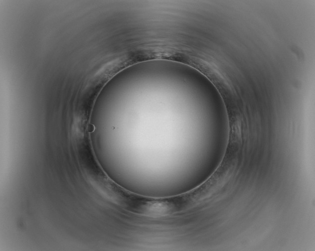 X0000113590218200909181338