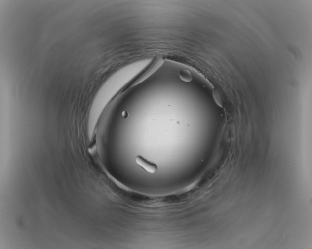 X0000113590219200909181338