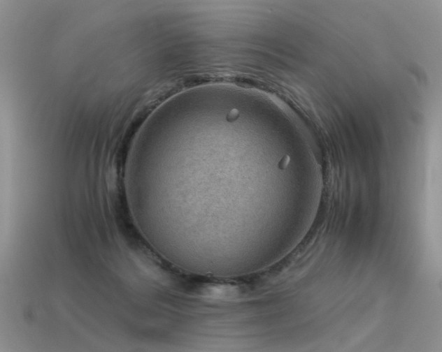 X0000113590220200909181338