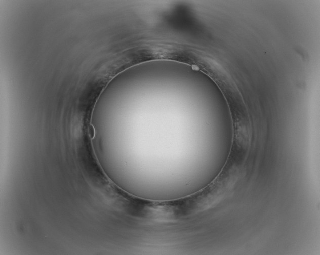 X0000113590221200909181338