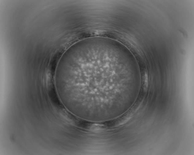 X0000113590222200909181338