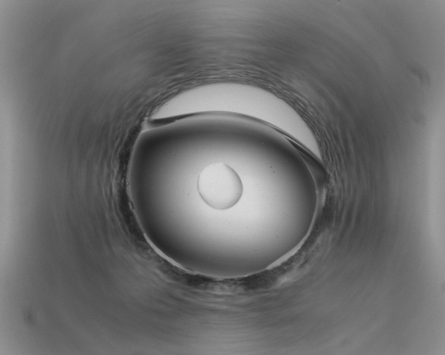 X0000113590223200909181338