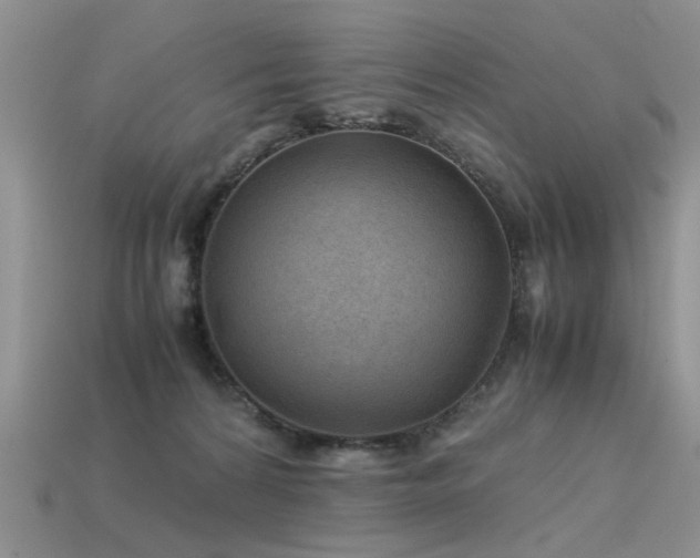 X0000113590224200909181338