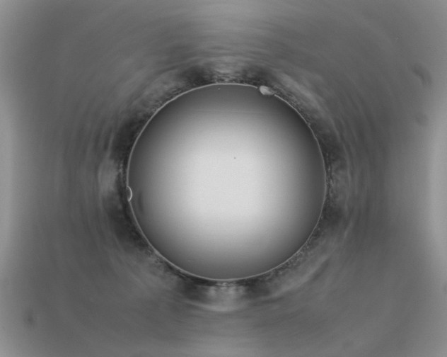 X0000113590225200909181338