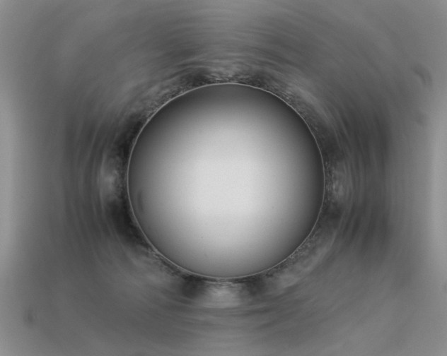 X0000113590226200909181338