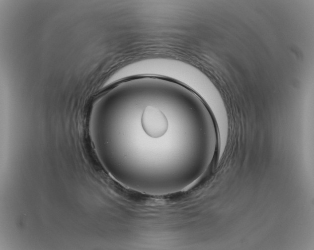 X0000113590227200909181338