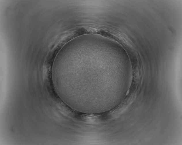 X0000113590229200909181338