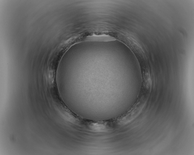 X0000113590232200909181338