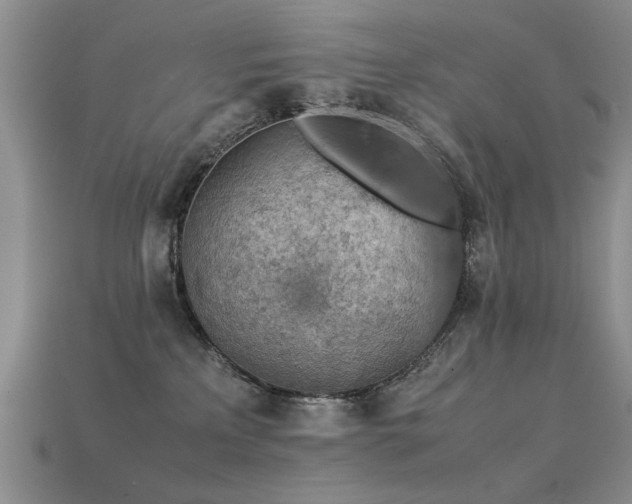 X0000113590233200909181338